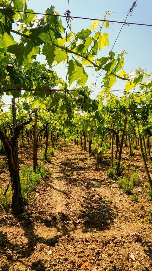 Azzarone Alojamento de Turismo Rural Vieste